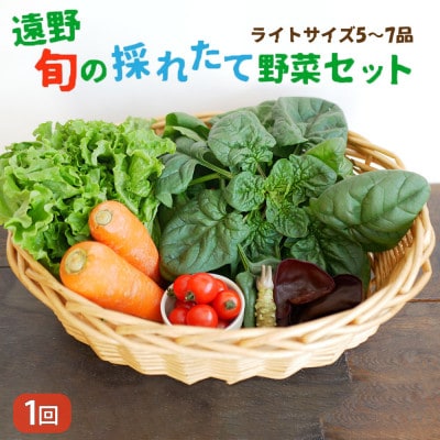 旬のとれたて野菜セット(5~7品)ライトサイズ【こんたでぃーの遠野】【配送不可地域：離島】【1328906】