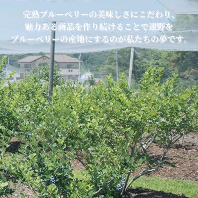 å·åãã«ãŒããªãŒ å€§ç² 1.2kg (400gããã¯3åå
¥ã) éåããã§ããã«ãŒããªãŒåãé
éäžå¯å°åïŒé¢å³¶ãã1738487ã