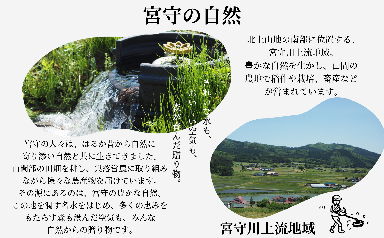 遠野どぶろく辛口・甘口6本セット【どぶろく特区の岩手県遠野市から】 宮守川上流生産組合