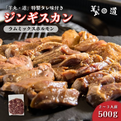 特製タレ 味付き ジンギスカン ラムミックスホルモン 500g 2〜3人前 遠野ジンギスカン羊丸・道【配送不可地域：離島】【1708217】
