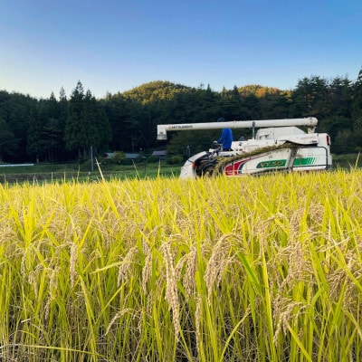 【毎月定期便】ササニシキ 白米 精米 10kg 岩手遠野市 勘六縁「たけのこ舎」全6回【4088046】