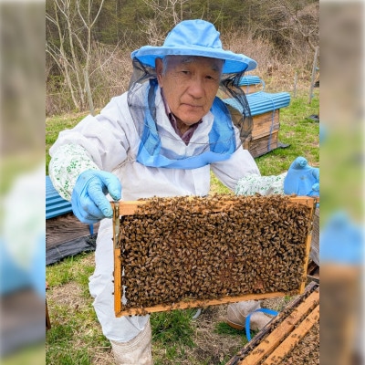繧「繧ォ繧キ繧「 / 縺ィ縺。陷 陷り惧 300g 2譛ャ 蜊謎ク翫懊ヨ繝ォ 蟯ゥ謇狗恁 驕驥守肇 鬥ャ蝣エ蜈臥塙縲1742349縲