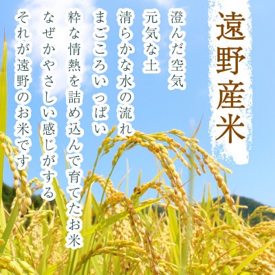 ãæ¯æå®æäŸ¿ããç¡æŽç±³ã岩æç é éåžç£ ãããŠã£ã 10kg ã ã³ã¡ãã«ã·ã§ æ²³å€ ãå
š12åã4089963ã