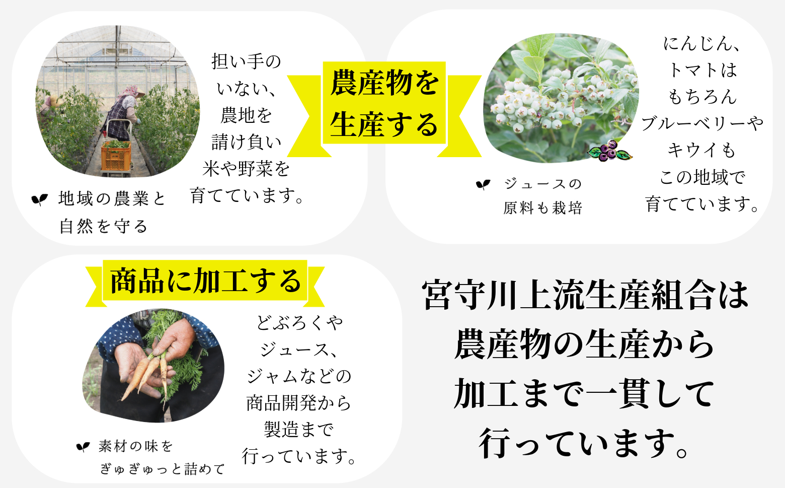 遠野どぶろく辛口・甘口12本セット【どぶろく特区の岩手県遠野市から】 宮守川上流生産組合