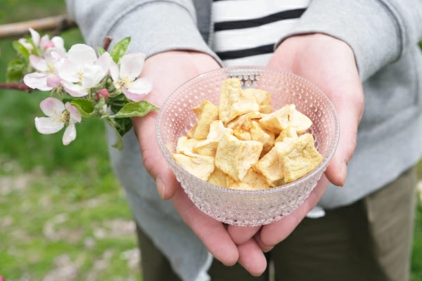 é éã®ããã ã®ãã ã»ãã æŸéœå