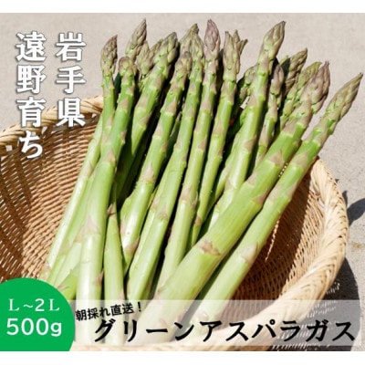 アスパラガス 500g こんたでぃーの遠野【配送不可地域：離島】【1511899】