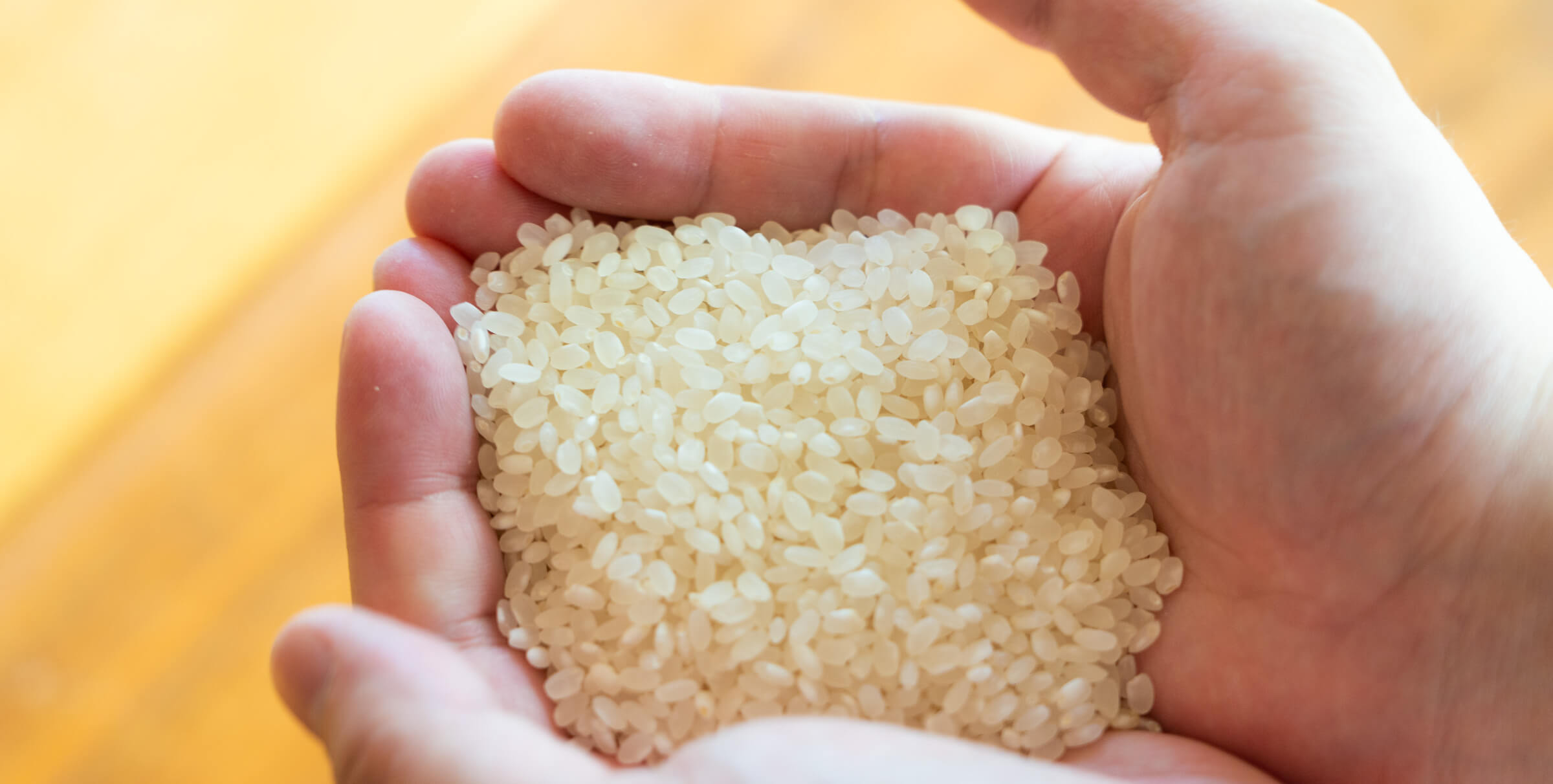 ã æ°ç±³ å
è¡äºçŽ ã 什å7å¹Žç£ ãµãµãã·ã çœç±³ 粟米 5kg åå
çž ç¡è¥æ ç¡èŸ²è¬ ãç±³ ç±³ ãæ œå¹æéäžèŸ²è¬äžäœ¿çšã