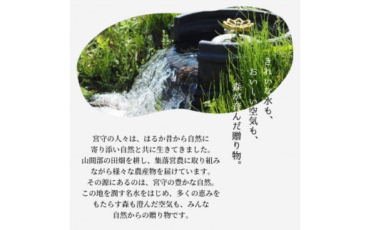 ジュース にんじん 旬素材 1L 6本 /  宮守川上流生産組合 岩手県 遠野産 100% りんご ブレンド 野菜 人参 フルーツ 果物 お中元