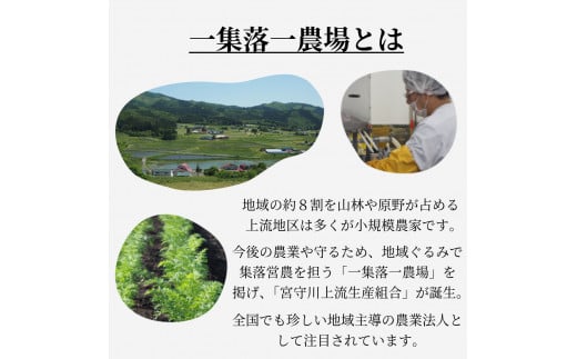 ジュース にんじん 旬素材 1L 6本 /  宮守川上流生産組合 岩手県 遠野産 100% りんご ブレンド 野菜 人参 フルーツ 果物 お中元