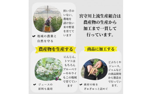 ジュース にんじん 旬素材 1L 6本 /  宮守川上流生産組合 岩手県 遠野産 100% りんご ブレンド 野菜 人参 フルーツ 果物 お中元
