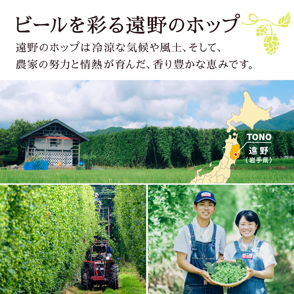 ãå®æäŸ¿3åãããªã³ äžçªæŸã ãšãããŠããã çããŒã« 500ml à 24æ¬ 1ã±ãŒã¹ 3ã¶æ ïŒ é éç£ããã äœ¿çš ïŒ éå® ããŒã« ãé
BBQ å®
飲㿠家飲㿠æ©é
ã®ãã 猶ããŒã« KIRIN éºéº ããã ããªã³ããŒã« äººæ° ïŒ ããŒã«ã®é 蟲家 æ¯æŽ å¿æŽ ïŒ