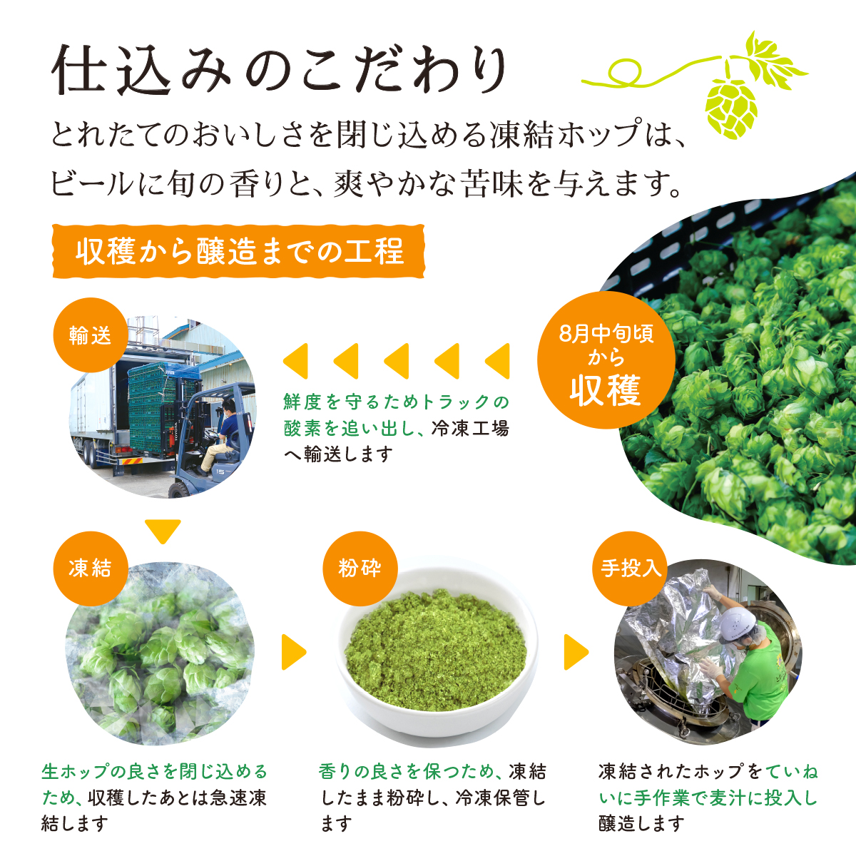 ãå®æäŸ¿3åãããªã³ äžçªæŸã ãšãããŠããã çããŒã« 500ml à 24æ¬ 1ã±ãŒã¹ 3ã¶æ ïŒ é éç£ããã äœ¿çš ïŒ éå® ããŒã« ãé
BBQ å®
飲㿠家飲㿠æ©é
ã®ãã 猶ããŒã« KIRIN éºéº ããã ããªã³ããŒã« äººæ° ïŒ ããŒã«ã®é 蟲家 æ¯æŽ å¿æŽ ïŒ