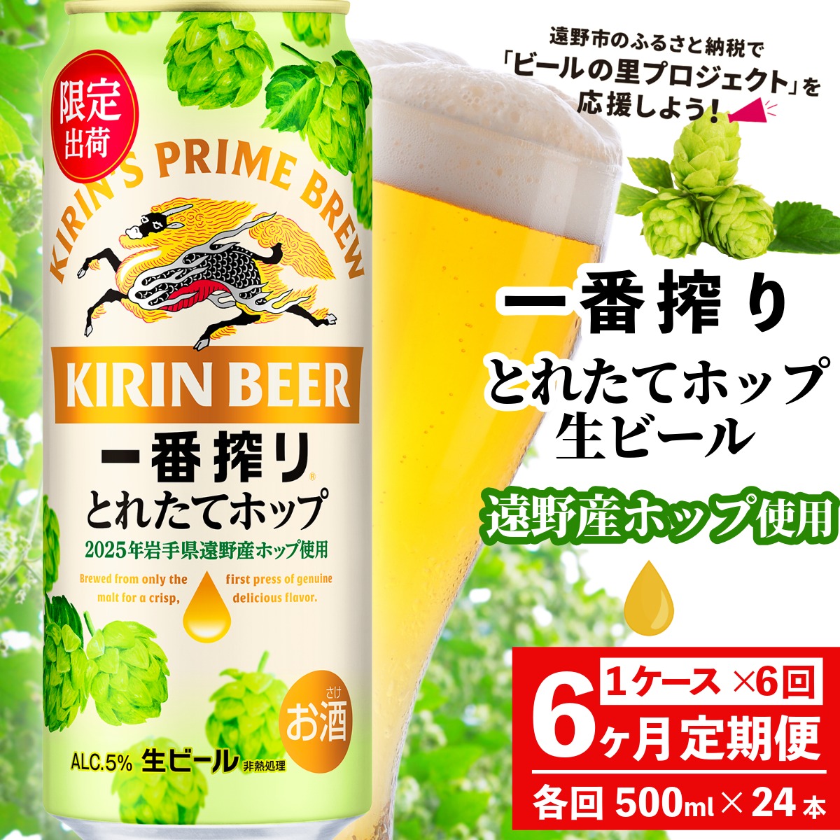 【定期便6回】キリン 一番搾り とれたてホップ 生ビール 500ml × 24本 1ケース 6ヶ月  ＜ 遠野産ホップ 使用 ＞ 限定 ビール お酒 BBQ 宅飲み 家飲み 晩酌 ギフト 缶ビール KIRIN 麒麟 きりん キリンビール 人気 ＜ ビールの里 農家 支援 応援 ＞