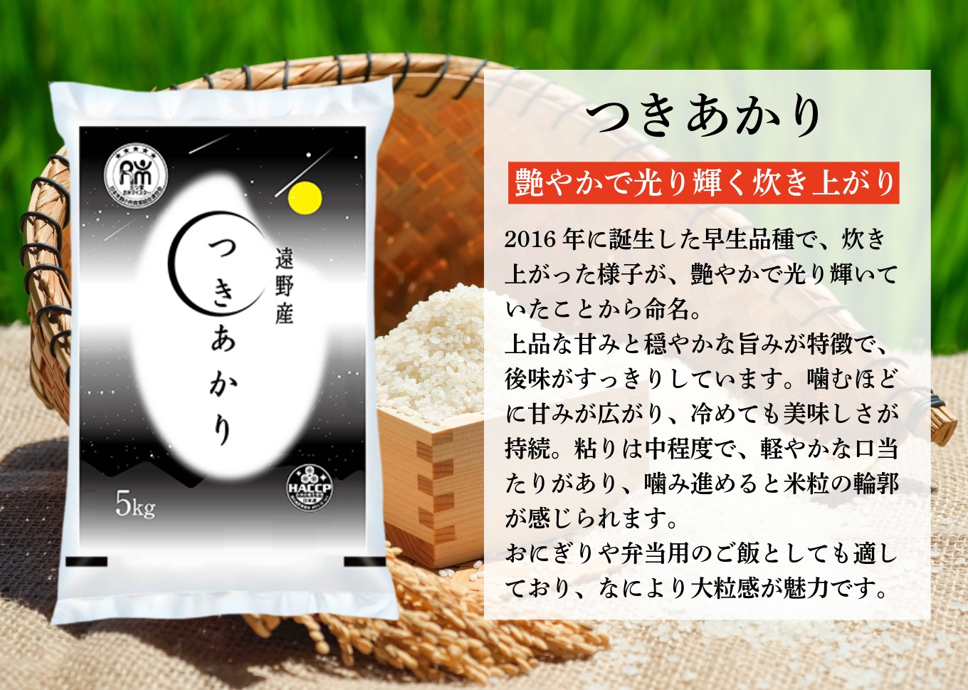 令和7年産米 「 つきあかり 」 5kg | お米マイスター Prof. 厳選 【 コメマルシェ 河判】おこめ 白米 精米 SDGs 岩手県 遠野市 国産 送料無料 令和 7年 米
