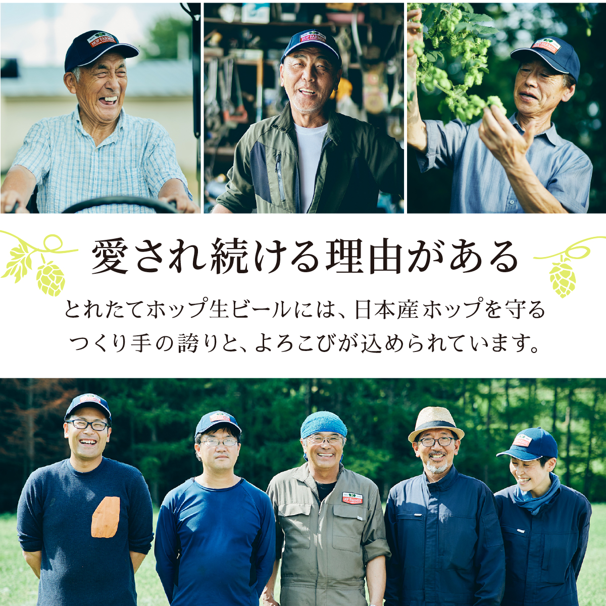 ãå®æäŸ¿3åãããªã³ äžçªæŸã ãšãããŠããã çããŒã« 500ml à 24æ¬ 1ã±ãŒã¹ 3ã¶æ ïŒ é éç£ããã äœ¿çš ïŒ éå® ããŒã« ãé
BBQ å®
飲㿠家飲㿠æ©é
ã®ãã 猶ããŒã« KIRIN éºéº ããã ããªã³ããŒã« äººæ° ïŒ ããŒã«ã®é 蟲家 æ¯æŽ å¿æŽ ïŒ