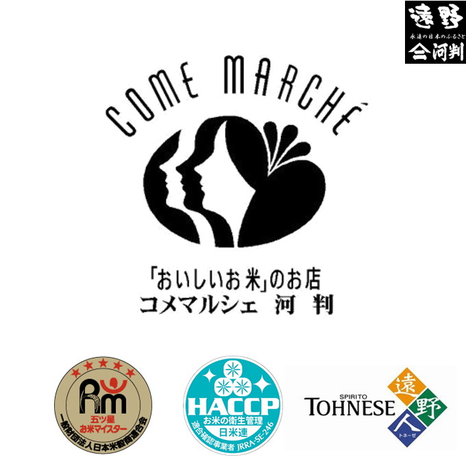 【 定期便 3回 】 銀河のしずく 5kg 令和7年産 遠野産 米 【 五つ星 お米マイスター 厳選 】【 コメマルシェ 河判 】 