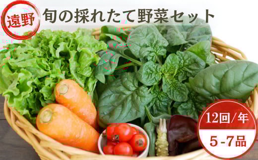 【 12回 定期便 】 旬 採れたて 野菜 詰め合わせ セット （5～7品）ライトサイズ【こんたでぃーの遠野】 岩手県 遠野市