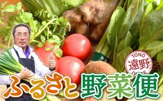 【定期便】遠野ふるさと野菜便（ 定期便 年5回：偶数月）《 野菜ソムリエ 厳選 数量限定 岩手県 遠野市 新鮮 旬 の 野菜セット 》