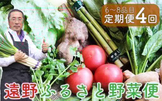 【定期便】 遠野ふるさと野菜便（定期年4回：奇数月）《 野菜ソムリエ 厳選 数量限定 岩手県 遠野市 野菜セット 野菜 詰め合わせ 》