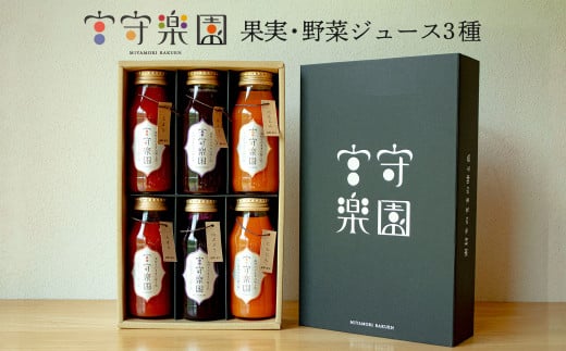 宮守楽園 ジュース 3種 合計 6本 セット | 宮守川上流生産組合 野菜 フルーツ 果物 岩手県 遠野市 宮守町 加工 100% ギフト 贈答