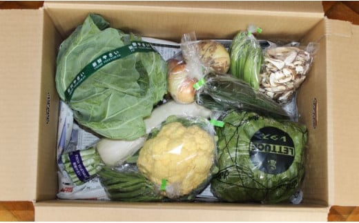 遠野 ふるさと 野菜便 《 野菜ソムリエ 厳選 》/ 岩手県 遠野市 産 旬 季節 野菜 やさい セット 詰め合わせ 遠野ふるさと野菜