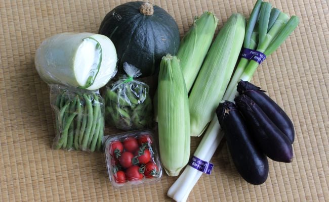 【定期便】遠野ふるさと野菜便（ 定期便 年5回：偶数月）《 野菜ソムリエ 厳選 数量限定 岩手県 遠野市 新鮮 旬 の 野菜セット 》