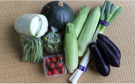 遠野 ふるさと 野菜便 《 野菜ソムリエ 厳選 》/ 岩手県 遠野市 産 旬 季節 野菜 やさい セット 詰め合わせ 遠野ふるさと野菜