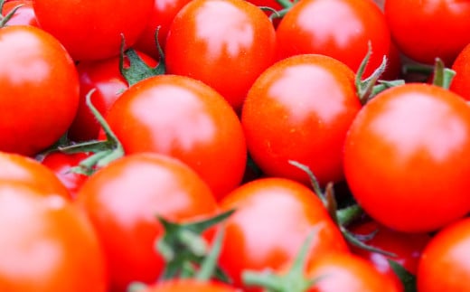 ã 3å å®æäŸ¿ ã æ¬ æ¡ãã㊠éè è©°ãåãã ã»ãã ïŒ5ïœ7åïŒã©ã€ããµã€ãºããããã§ããŒã®é éã岩æç é éåž