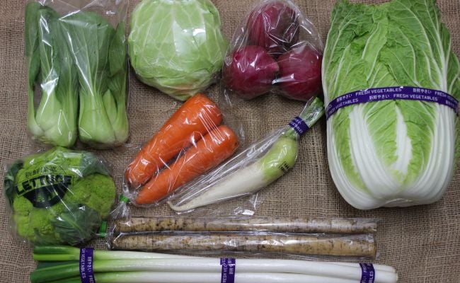 【定期便】遠野ふるさと野菜便（ 定期便 年5回：偶数月）《 野菜ソムリエ 厳選 数量限定 岩手県 遠野市 新鮮 旬 の 野菜セット 》