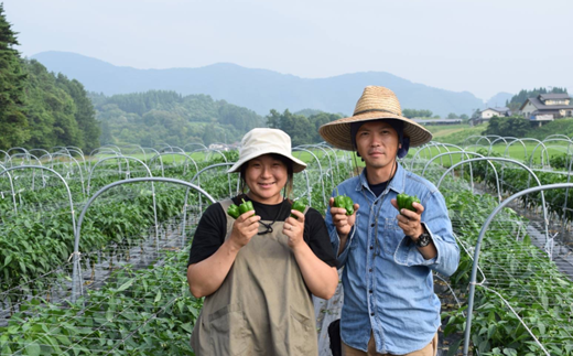 玄米 10kg 【 令和8年産 新米 先行予約 】 米 お米 ひとめぼれ / 新米 岩手県 遠野市 宮守町 達曽部 金取 地区 産 金取ノ米 多田農産 農家直送