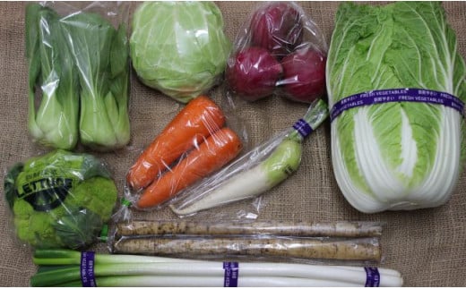 遠野 ふるさと 野菜便 《 野菜ソムリエ 厳選 》/ 岩手県 遠野市 産 旬 季節 野菜 やさい セット 詰め合わせ 遠野ふるさと野菜