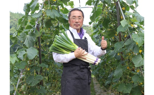 遠野ふるさと野菜便と亜麻豚のセット / 岩手県 遠野市 野菜ソムリエ 旬 遠野ふるさと野菜 ブランド豚 豚肉 笹村精肉店 コラボ