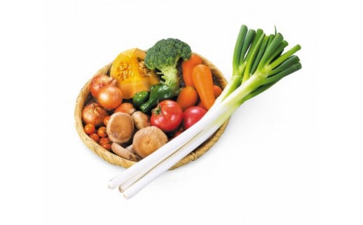 遠野 ふるさと 野菜便 《 野菜ソムリエ 厳選 》/ 岩手県 遠野市 産 旬 季節 野菜 やさい セット 詰め合わせ 遠野ふるさと野菜