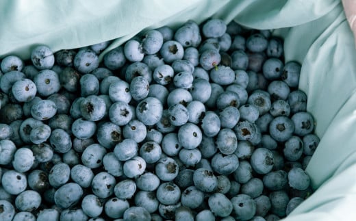 ã 3å å®æäŸ¿ ã æ¬ æ¡ãã㊠éè è©°ãåãã ã»ãã ïŒ5ïœ7åïŒã©ã€ããµã€ãºããããã§ããŒã®é éã岩æç é éåž