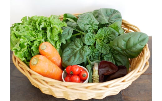 ã 3å å®æäŸ¿ ã æ¬ æ¡ãã㊠éè è©°ãåãã ã»ãã ïŒ5ïœ7åïŒã©ã€ããµã€ãºããããã§ããŒã®é éã岩æç é éåž