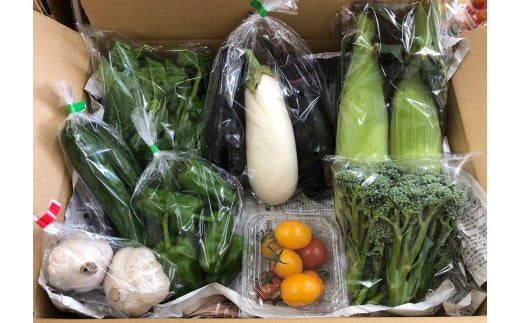 ã 3å å®æäŸ¿ ã æ¬ æ¡ãã㊠éè è©°ãåãã ã»ãã ïŒ5ïœ7åïŒã©ã€ããµã€ãºããããã§ããŒã®é éã岩æç é éåž