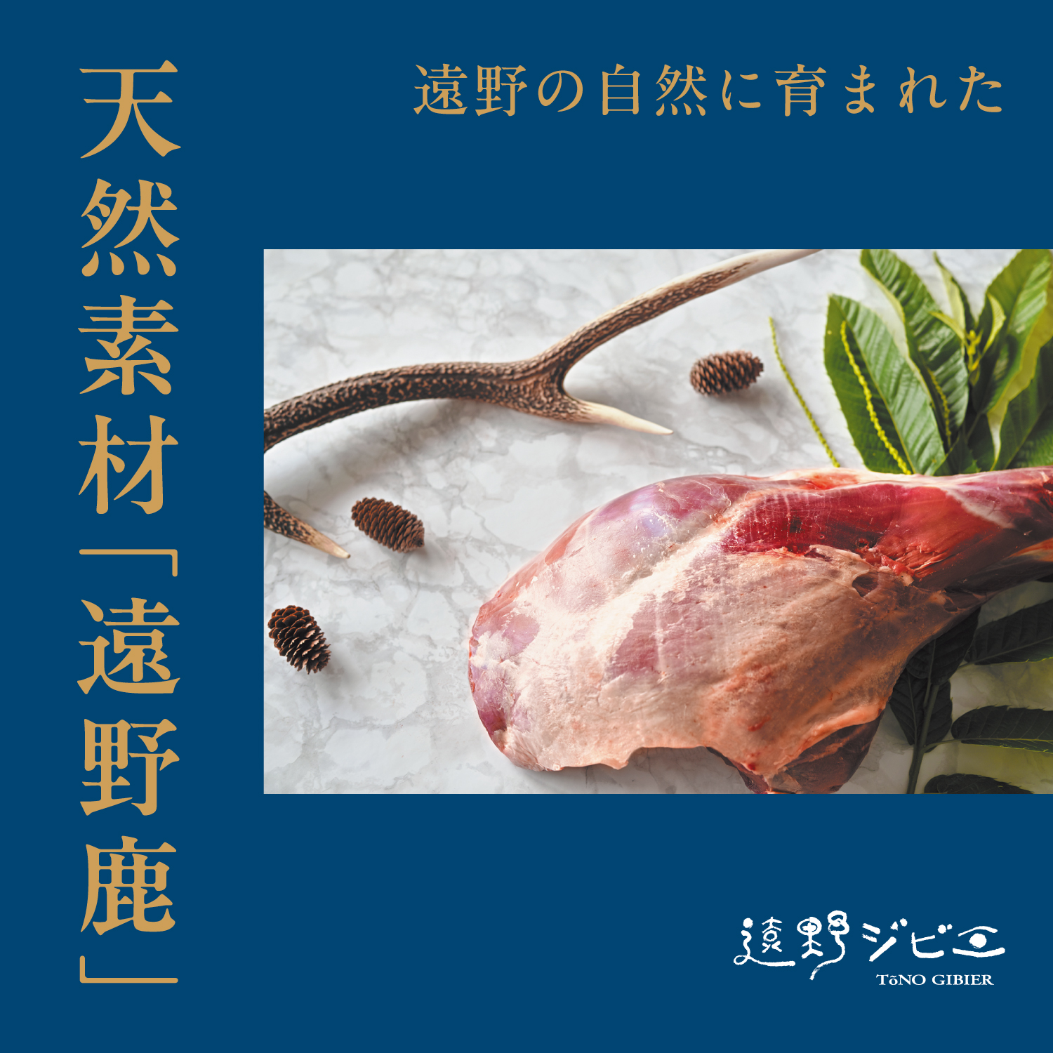  鹿モモ肉 ブロック 合計 1.2kg 200g×6パック 【遠野ジビエ】 / ジビエ 鹿肉 岩手県 遠野市 産 冷凍 遠野ジビエの里 毘沙門商会合同会社
