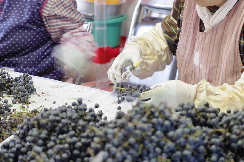 æ¬çŽ æ ãžã¥ãŒã¹ ã»ãã å€§ç¶ 1L 3çš® 2æ¬ åèš 6æ¬ / å®®å®å·äžæµçç£çµå 岩æç é éåžç£ 100% éè ãã«ãŒã æç© ããã ã«ããã å±±ã¶ã©ã