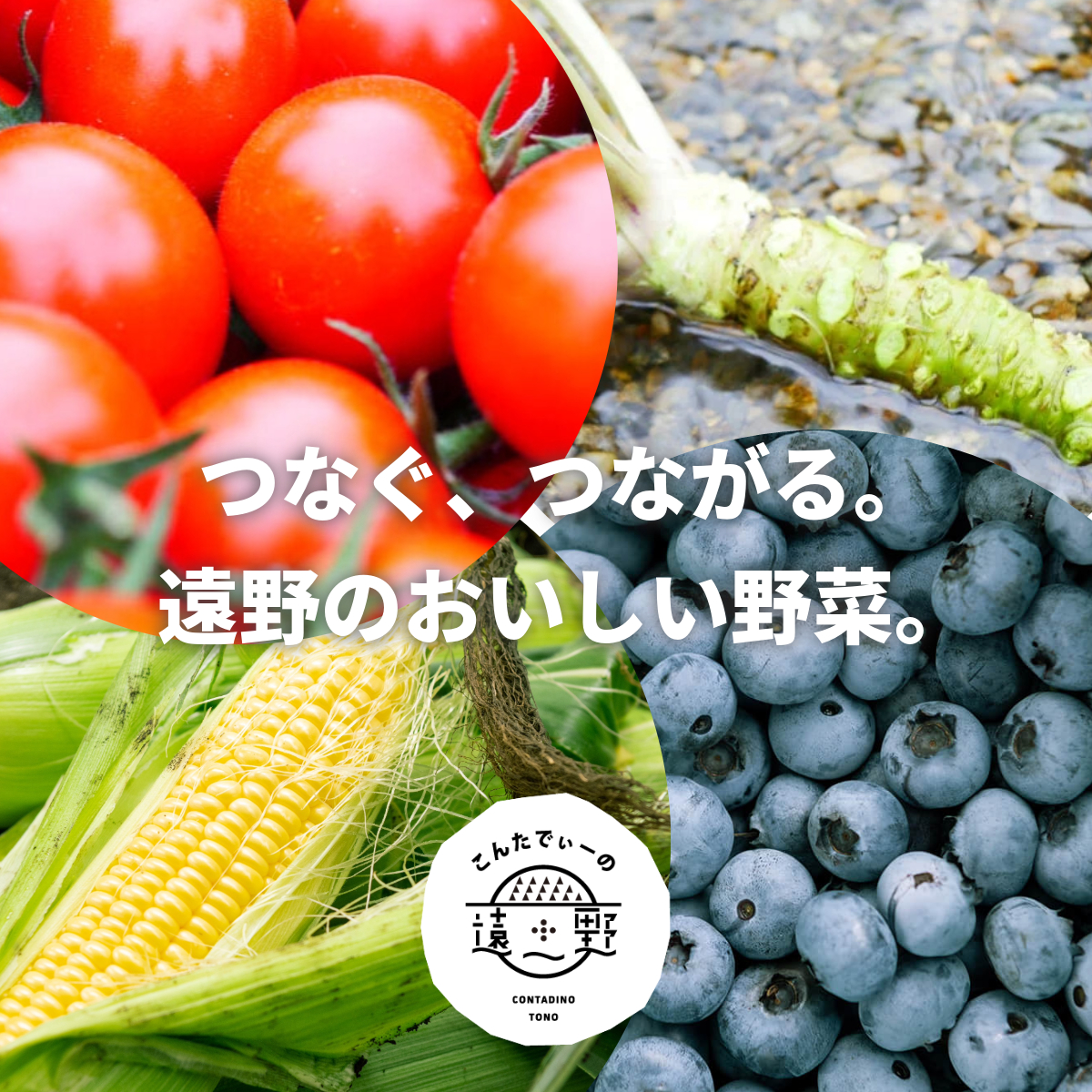 【 12回 定期便 】 旬 採れたて 野菜 詰め合わせ セット （5～7品）ライトサイズ【こんたでぃーの遠野】 岩手県 遠野市