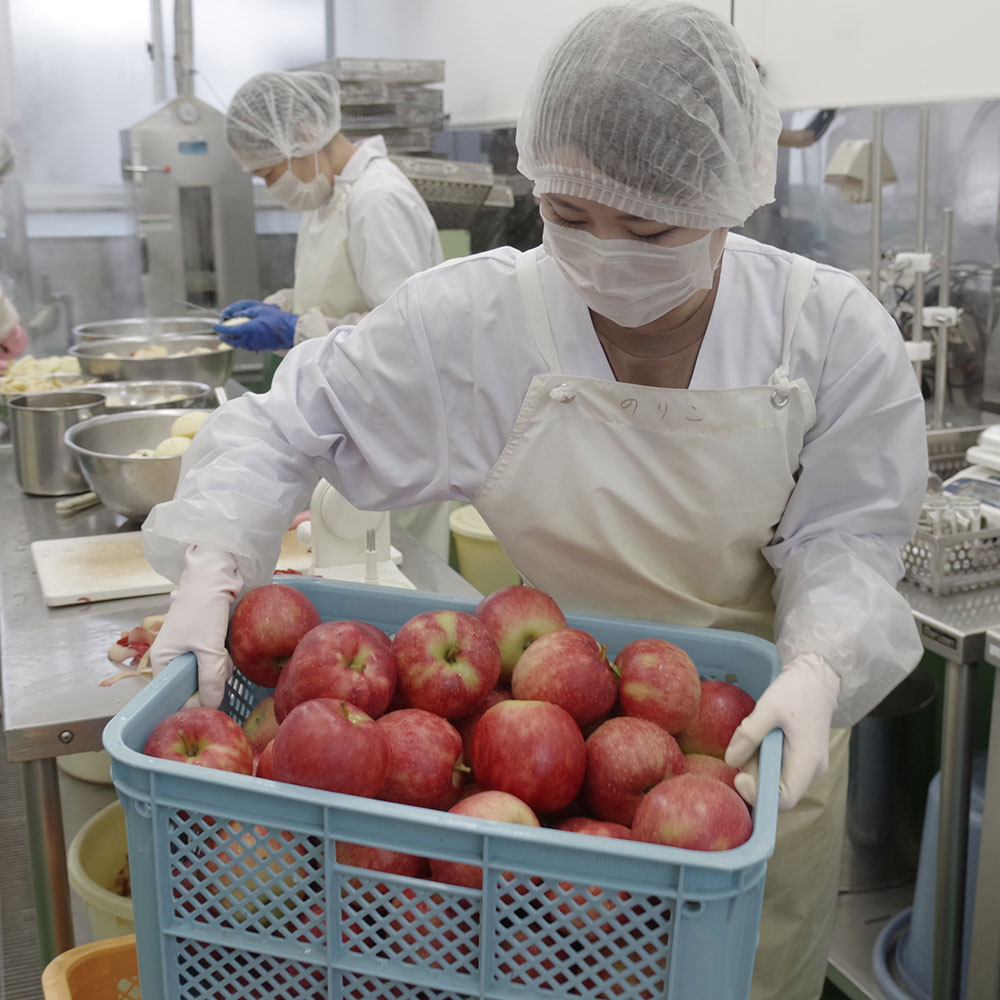 宮宿¥œå ãžã¥ãŒã¹ 3çš® åèš 6æ¬ ã»ãã | å®®å®å·äžæµçç£çµå éè ãã«ãŒã æç© 岩æç é éåž å®®å®çº å å·¥ 100% ã®ãã èŽç