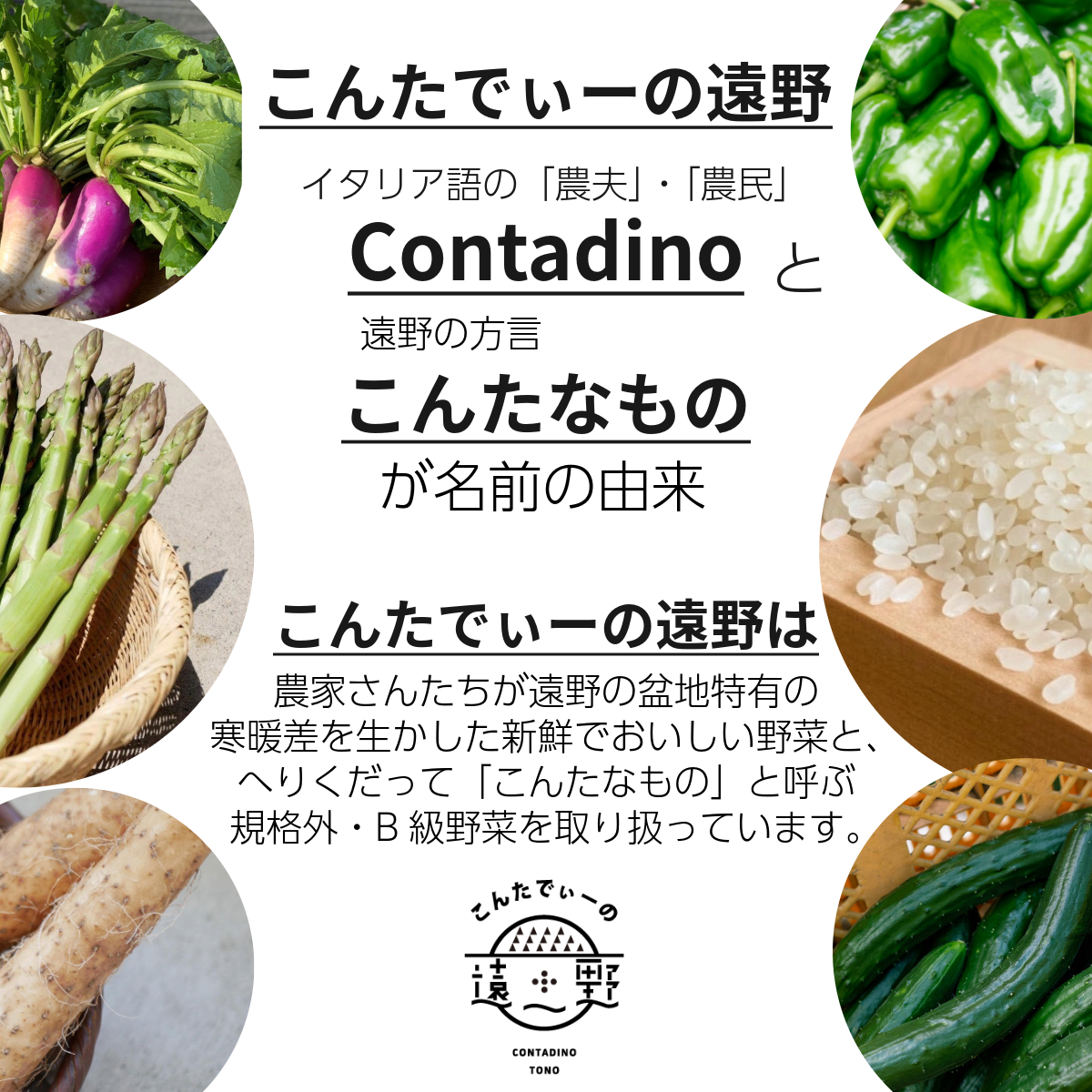 【 12回 定期便 】 旬 採れたて 野菜 詰め合わせ セット （5～7品）ライトサイズ【こんたでぃーの遠野】 岩手県 遠野市