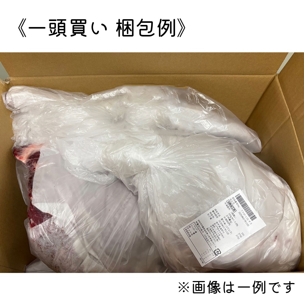 遠野鹿 1頭買い ・ 14kg 【遠野ジビエ】 / ジビエ 鹿肉 岩手県 遠野市 産  遠野ジビエの里 毘沙門商会合同会社
