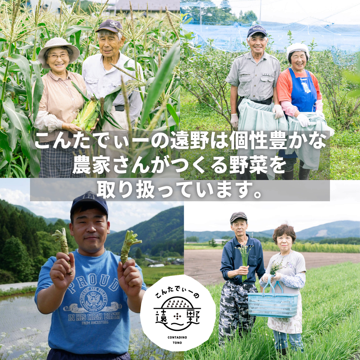 【 12回 定期便 】 旬 採れたて 野菜 詰め合わせ セット （5～7品）ライトサイズ【こんたでぃーの遠野】 岩手県 遠野市