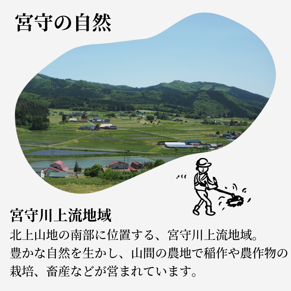 æ¬çŽ æ ãžã¥ãŒã¹ ã»ãã å€§ç¶ 1L 3çš® 2æ¬ åèš 6æ¬ / å®®å®å·äžæµçç£çµå 岩æç é éåžç£ 100% éè ãã«ãŒã æç© ããã ã«ããã å±±ã¶ã©ã