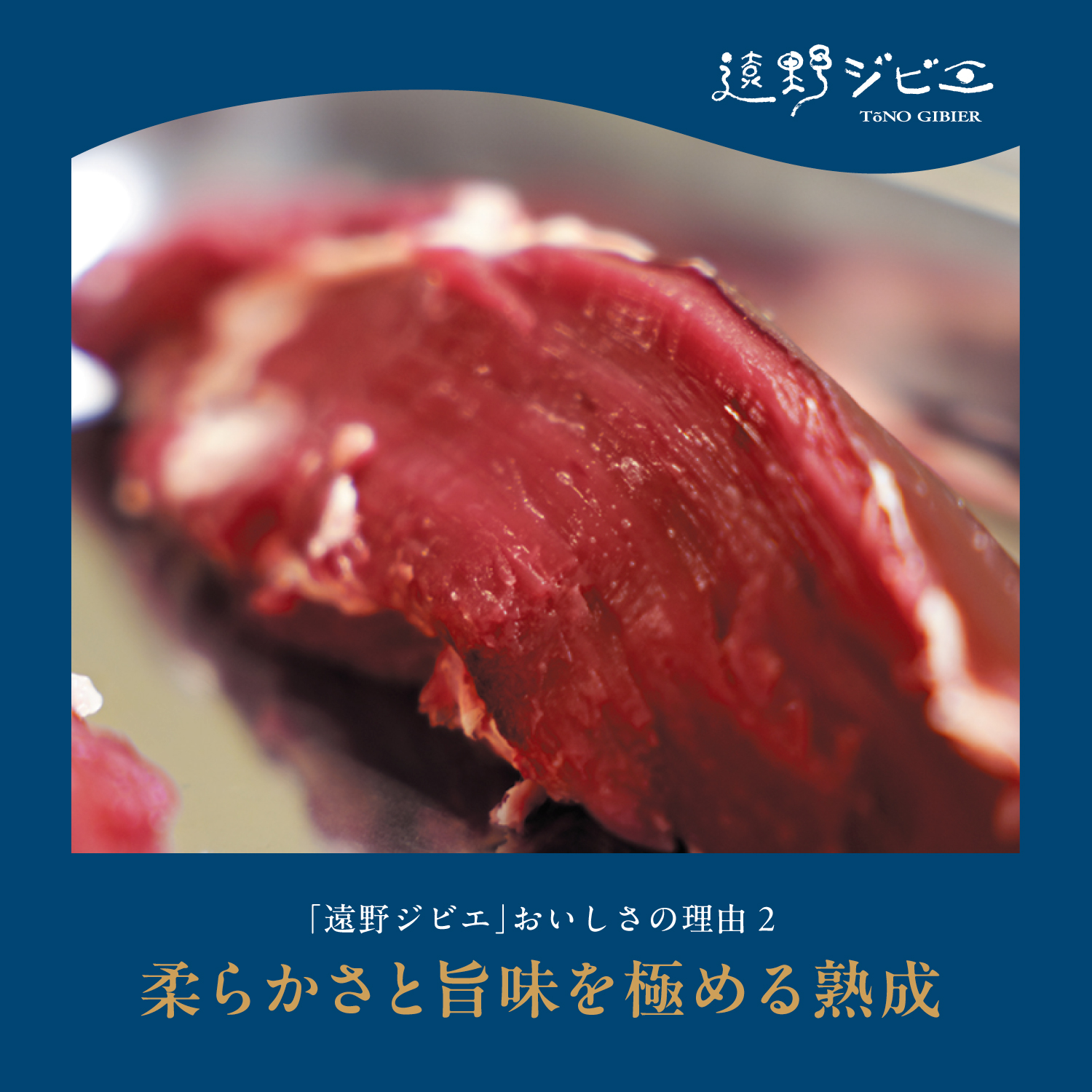 鹿ロース肉 ブロック 合計 1.2kg 200g×6パック 【遠野ジビエ】 / ジビエ 鹿肉 岩手県 遠野市 産 冷凍 遠野ジビエの里 毘沙門商会合同会社