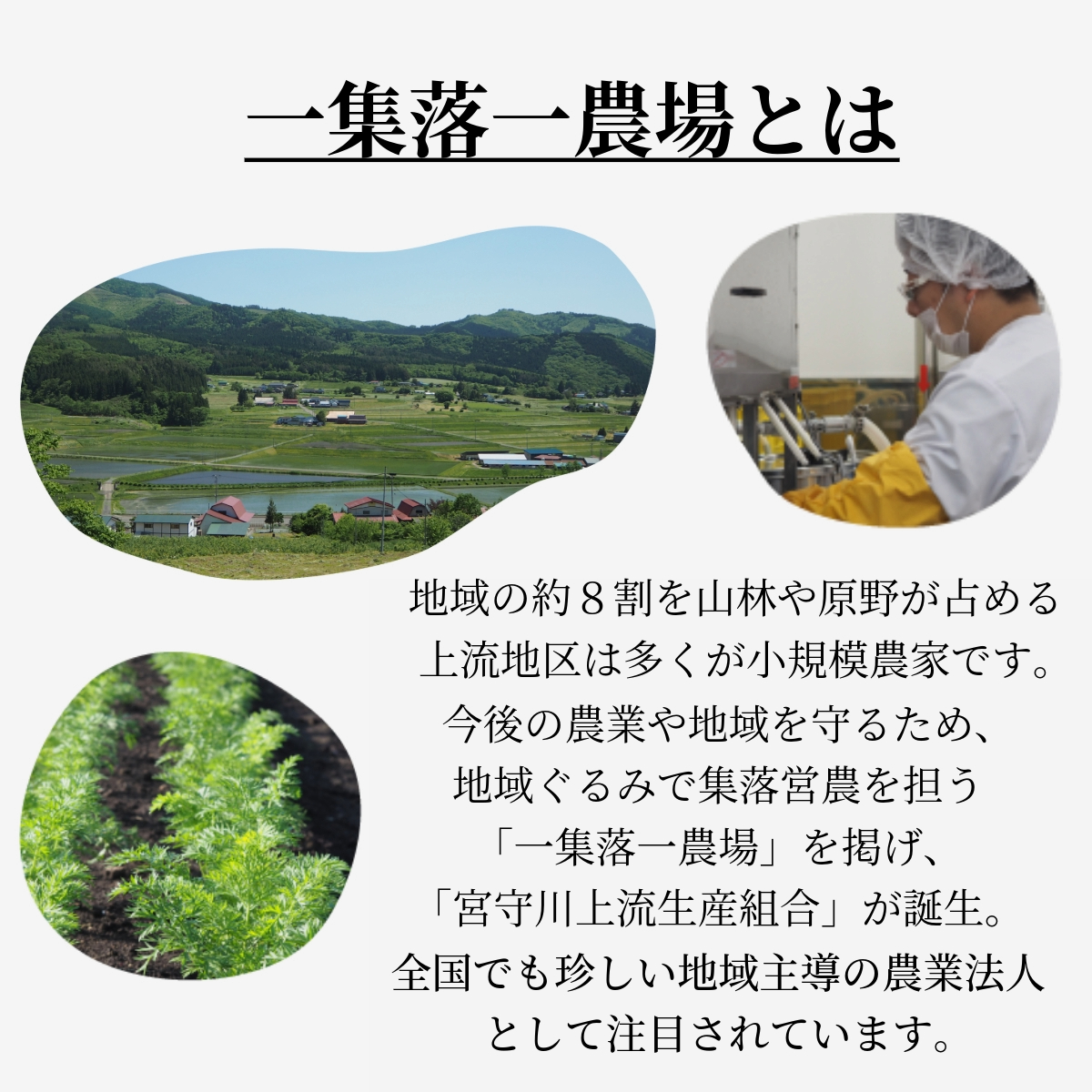 æ¬çŽ æ ãžã¥ãŒã¹ ã»ãã å€§ç¶ 1L 3çš® 2æ¬ åèš 6æ¬ / å®®å®å·äžæµçç£çµå 岩æç é éåžç£ 100% éè ãã«ãŒã æç© ããã ã«ããã å±±ã¶ã©ã