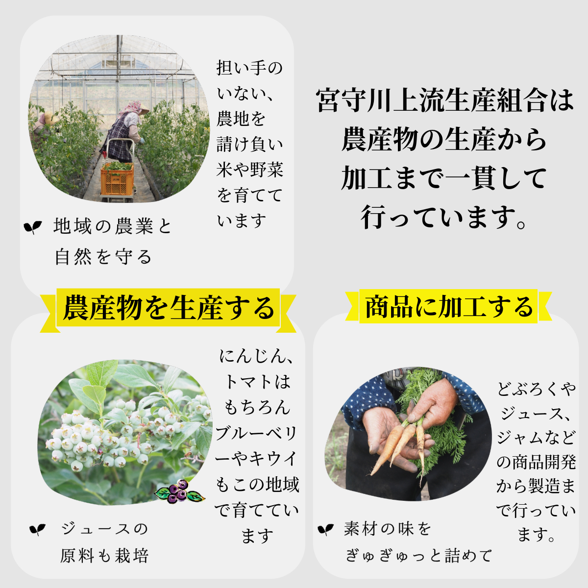 æ¬çŽ æ ãžã¥ãŒã¹ ã»ãã å€§ç¶ 1L 3çš® 2æ¬ åèš 6æ¬ / å®®å®å·äžæµçç£çµå 岩æç é éåžç£ 100% éè ãã«ãŒã æç© ããã ã«ããã å±±ã¶ã©ã