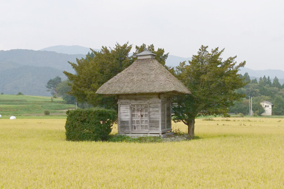 ふるさとの自然と景観を未来に継承する事業（自然環境・景観・農村保全・防災事業など）