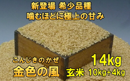 新登場の高級米 令和7年産 岩手県奥州市産 金色の風 玄米14kg [AC032]