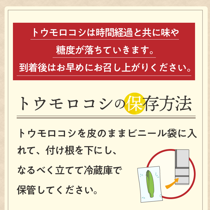 【先行予約】とうもろこし 大和ルージュ5本【数量限定】2026年9月上旬から出荷 離島配送不可 [T0030]
